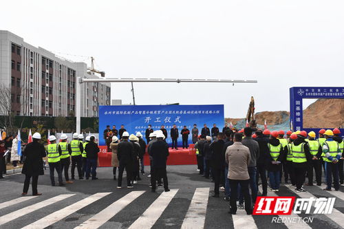 永州國際農(nóng)副產(chǎn)品智慧冷鏈商貿(mào)產(chǎn)業(yè)園配套道路工程正式開工建設(shè)